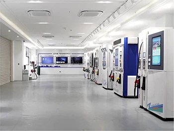 Company Environment